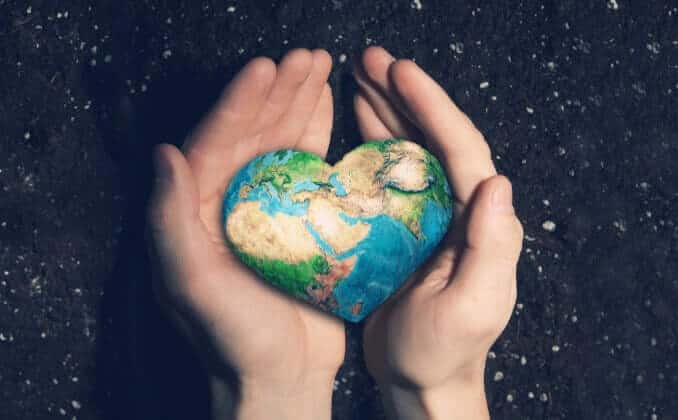Aleph farms going carbon-neutral by 2025 (2)