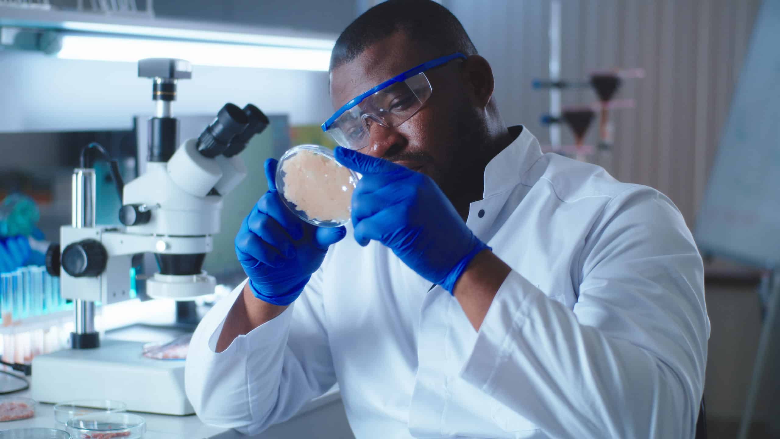Biotech foodtech labor technologie mikrobiologie kultivierung wissenschaft forschung clean meat123