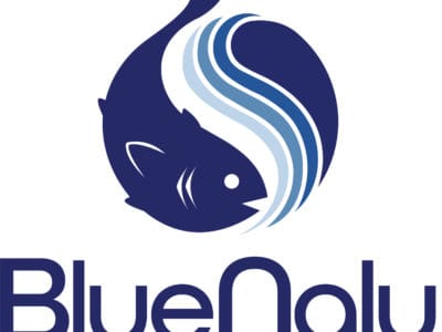 Bluenalu logo