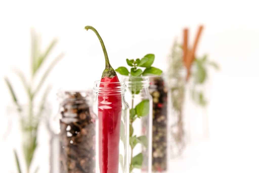 Cargill delacon phytogenics