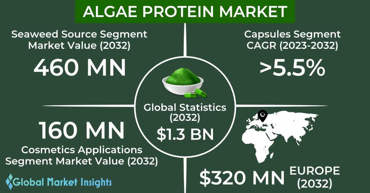 Global market insights überblick