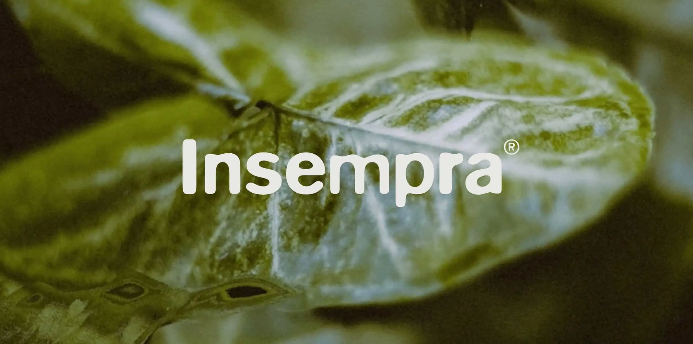 Insempra Header