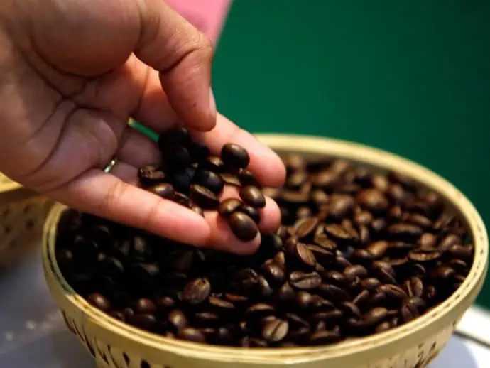 Koffein_Kaffeebohnen