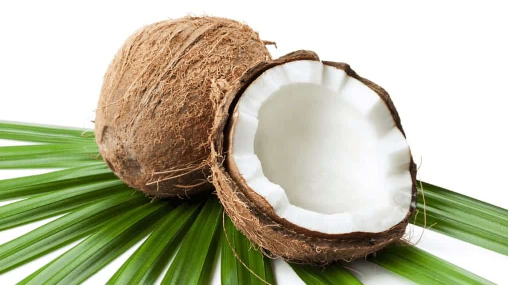 Kokosnüsse (basis für den veganen kokos-käse von koko dairy free)
