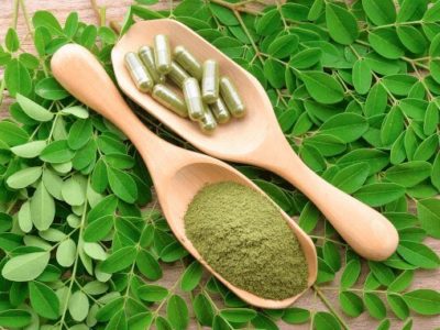 Moringa, Nahrungsergänzung, Pulber, Blätter, Samen, Öl