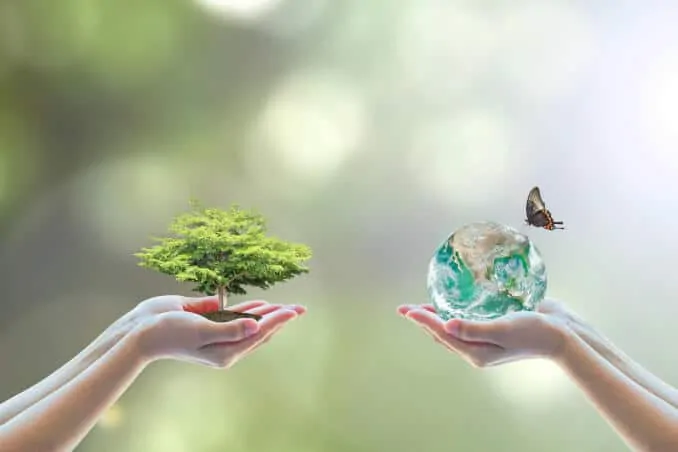 Umwelt Ökologie Nachhaltigkeit