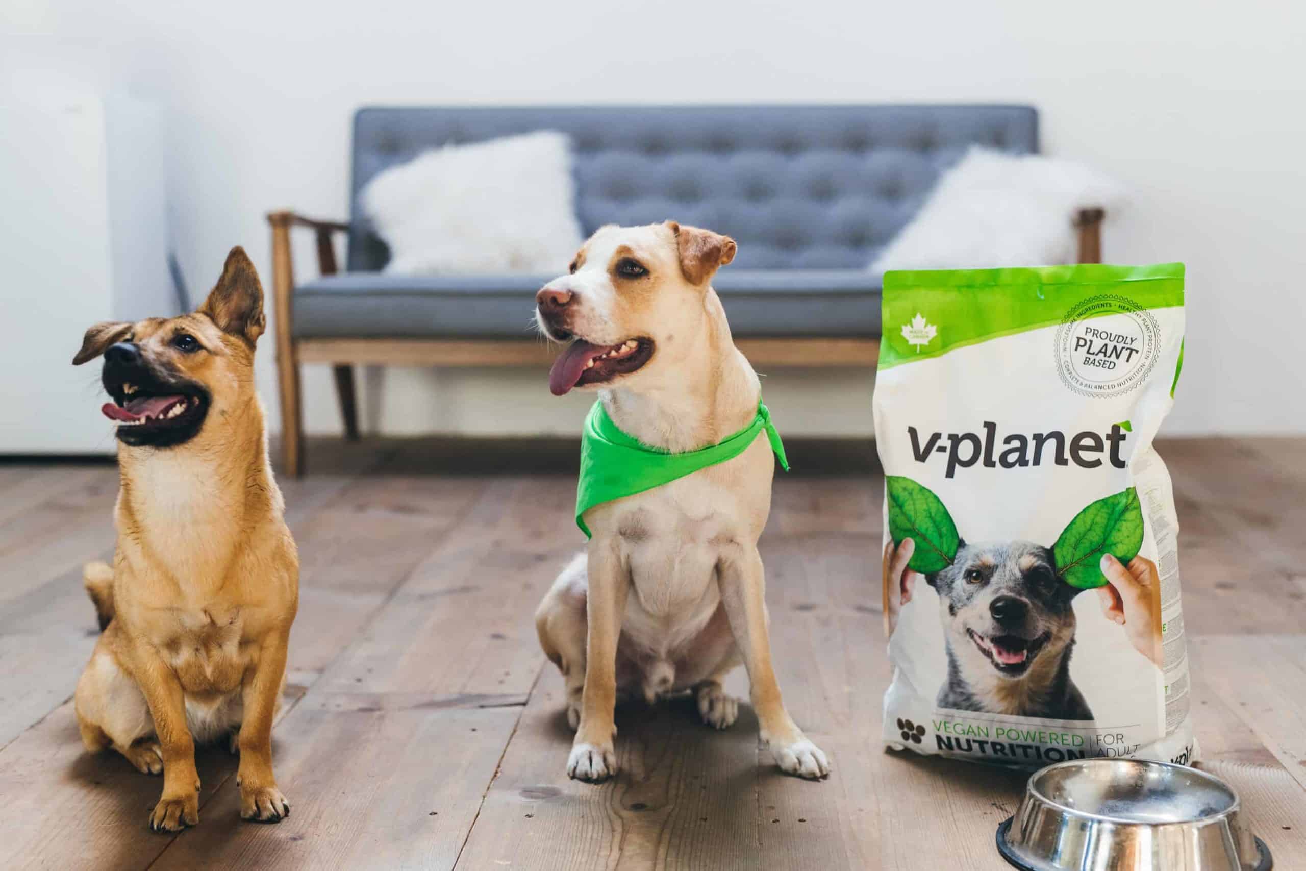 V planet dogfood scaled