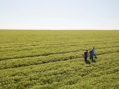 Wide Open Agriculture Monde Nissin Australia Liefervereinbarung Lupine