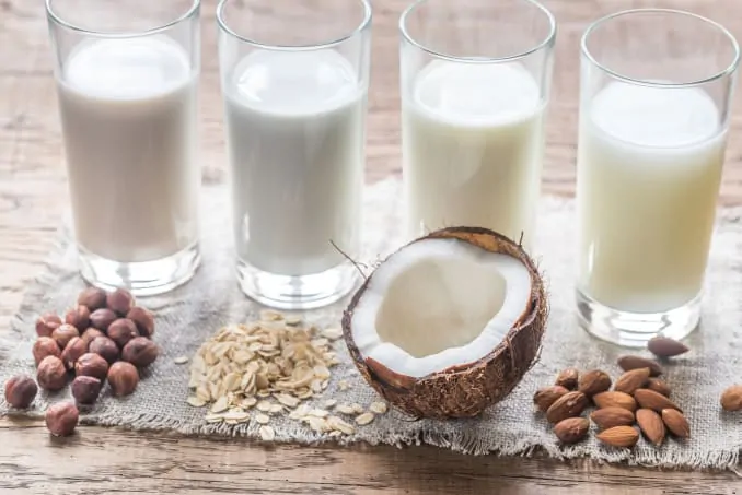 alternativ pflanzlich vegan Milch Protein