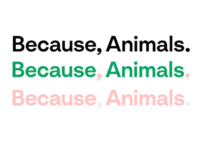 because animals 2