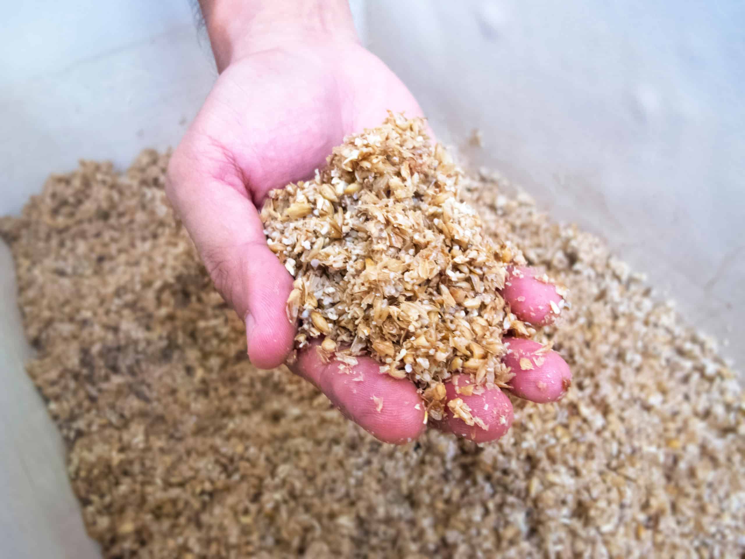 Biertreber rest abfallprodukt gerste protein