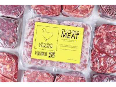 clean meat