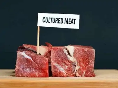 cultured meat