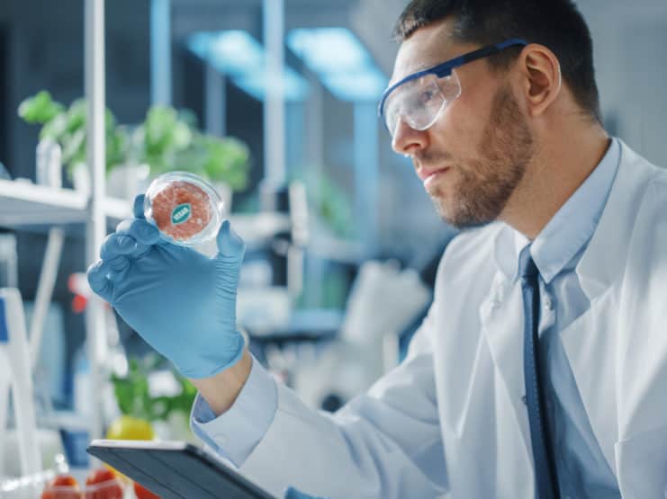 clean meat kultiviertes cultured meat fleisch labor