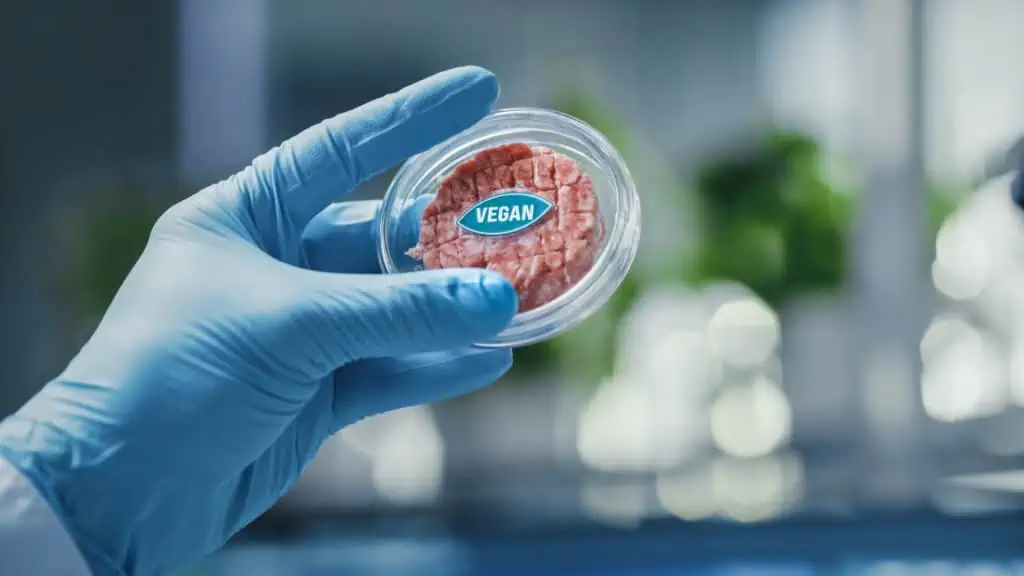 clean meat