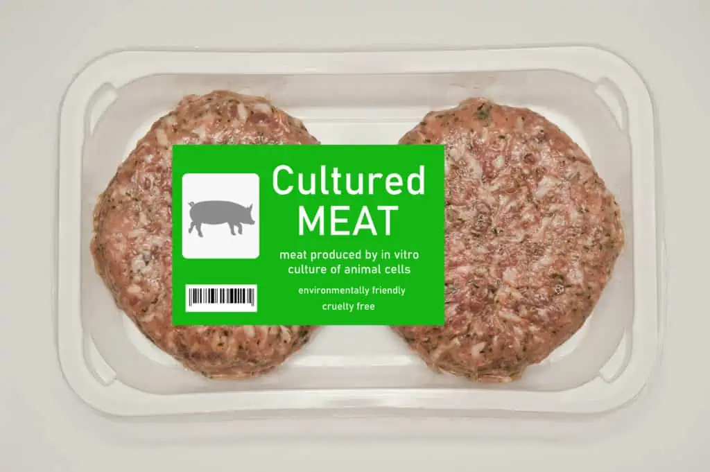 clean meat