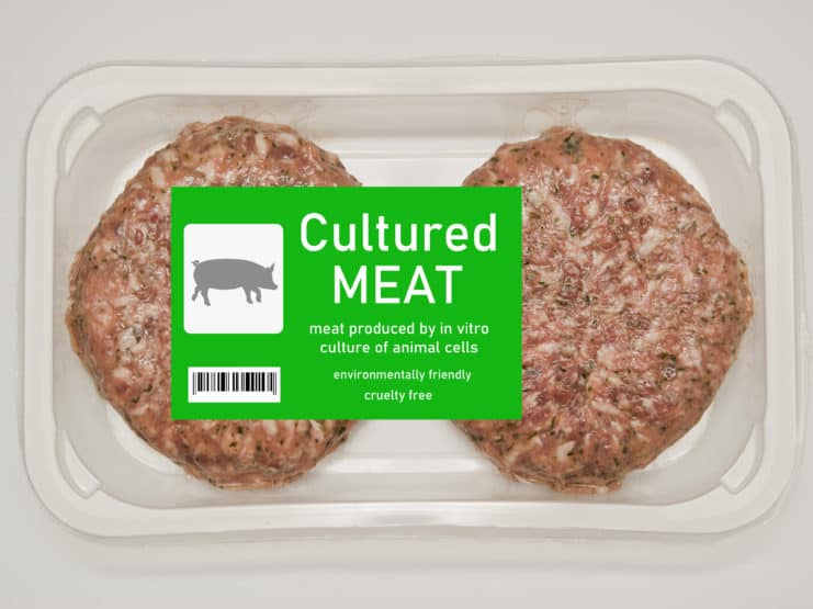 cultured kultiviertes fleisch clean meat schweinefleisch