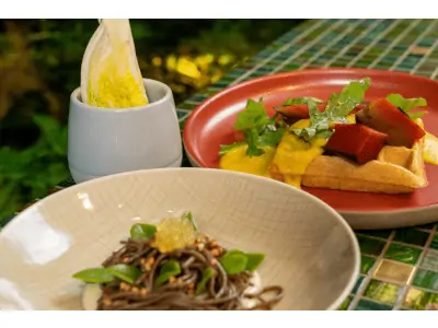 dussmann restaurant
