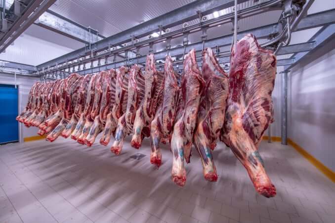 Fleisch fleischindustrie tier
