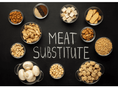 pflanzlicher fleischersatz
