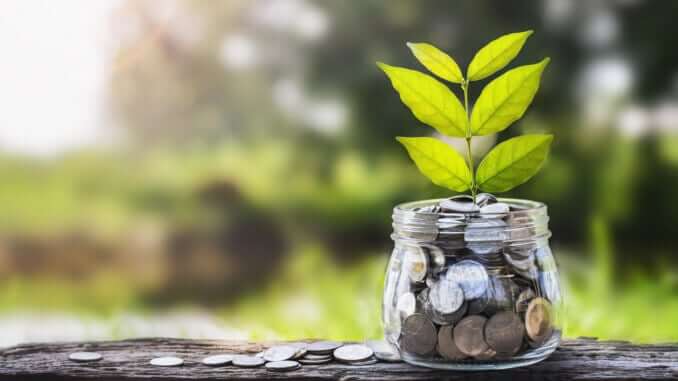 Investment plant cash 1