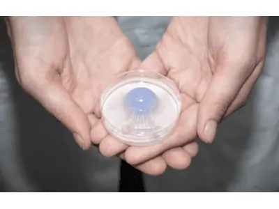 jellatech tierfreies kollagen