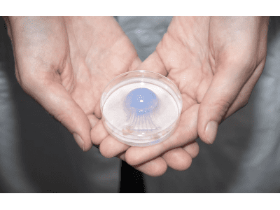 jellatech tierfreies kollagen
