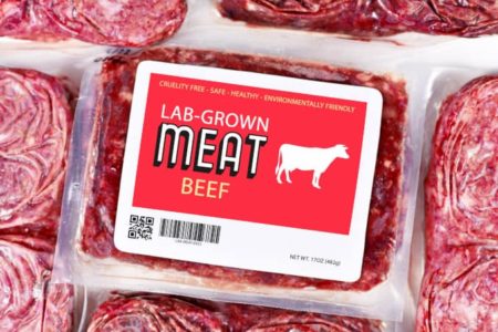 Kultiviert clean meat labor fleisch zellbasiert e1620729445421