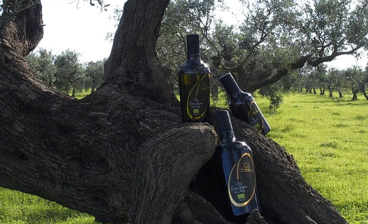 linea oro olio extra vergine di oliva biologico