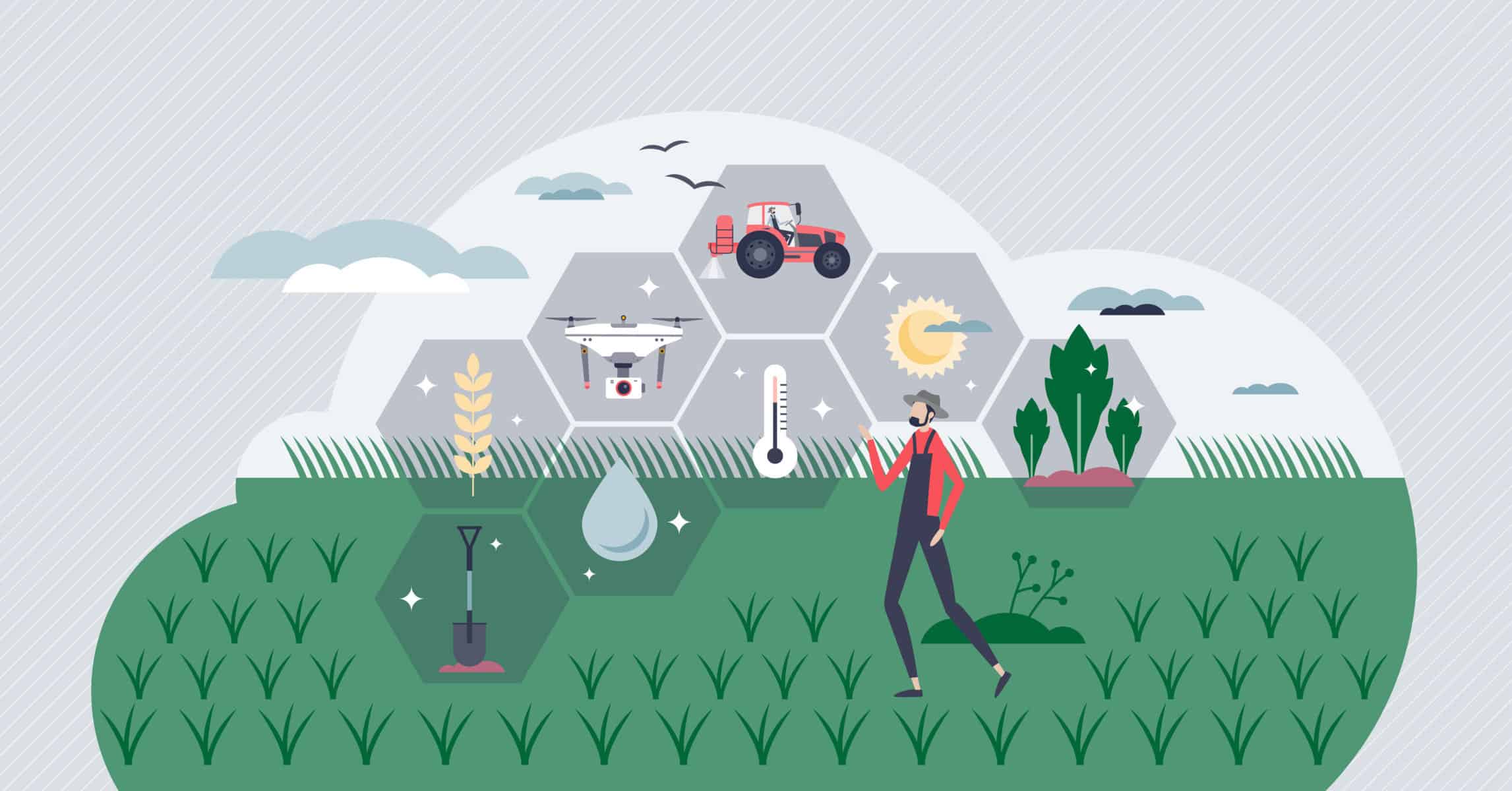 Nachhaltigkeit agrar landwirtschaft pflanzen umwelt9 scaled