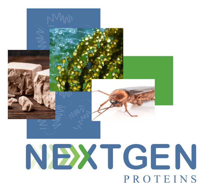 Nextgenproteins