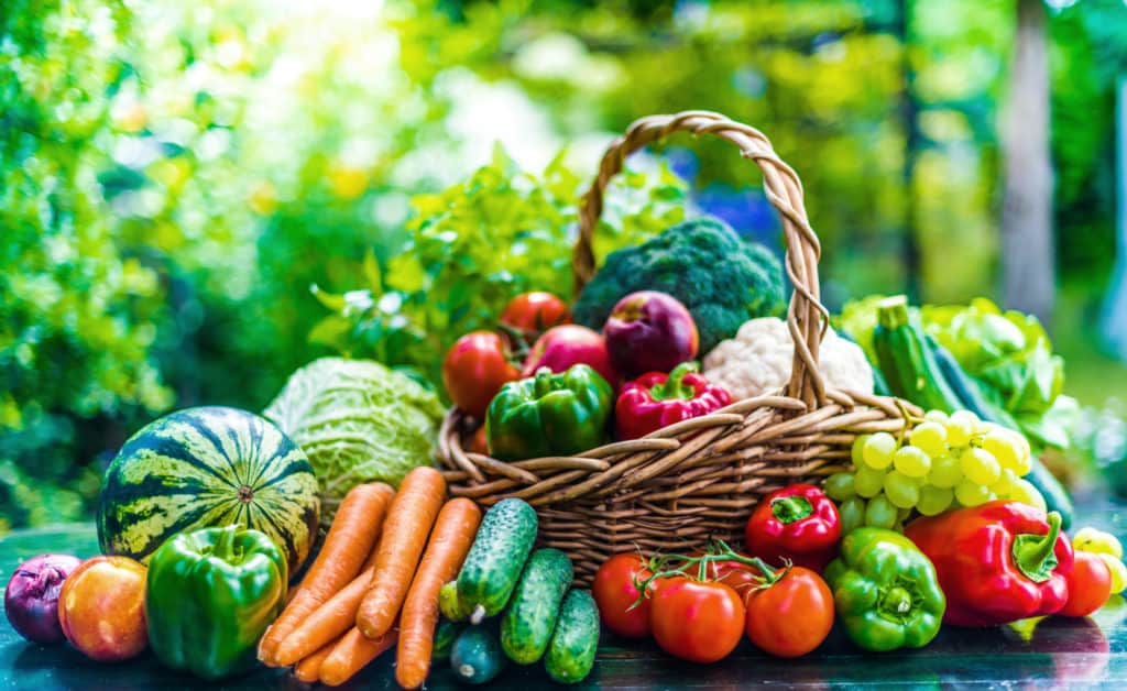 Obst gemuese lebensmittel proteine