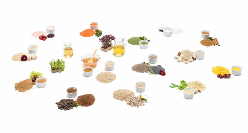 Pflanzliches protein zutaten inhaltsstoffe gemuese obst9