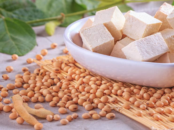 pflanzliches sojaprotein tofu alternative bohnen9