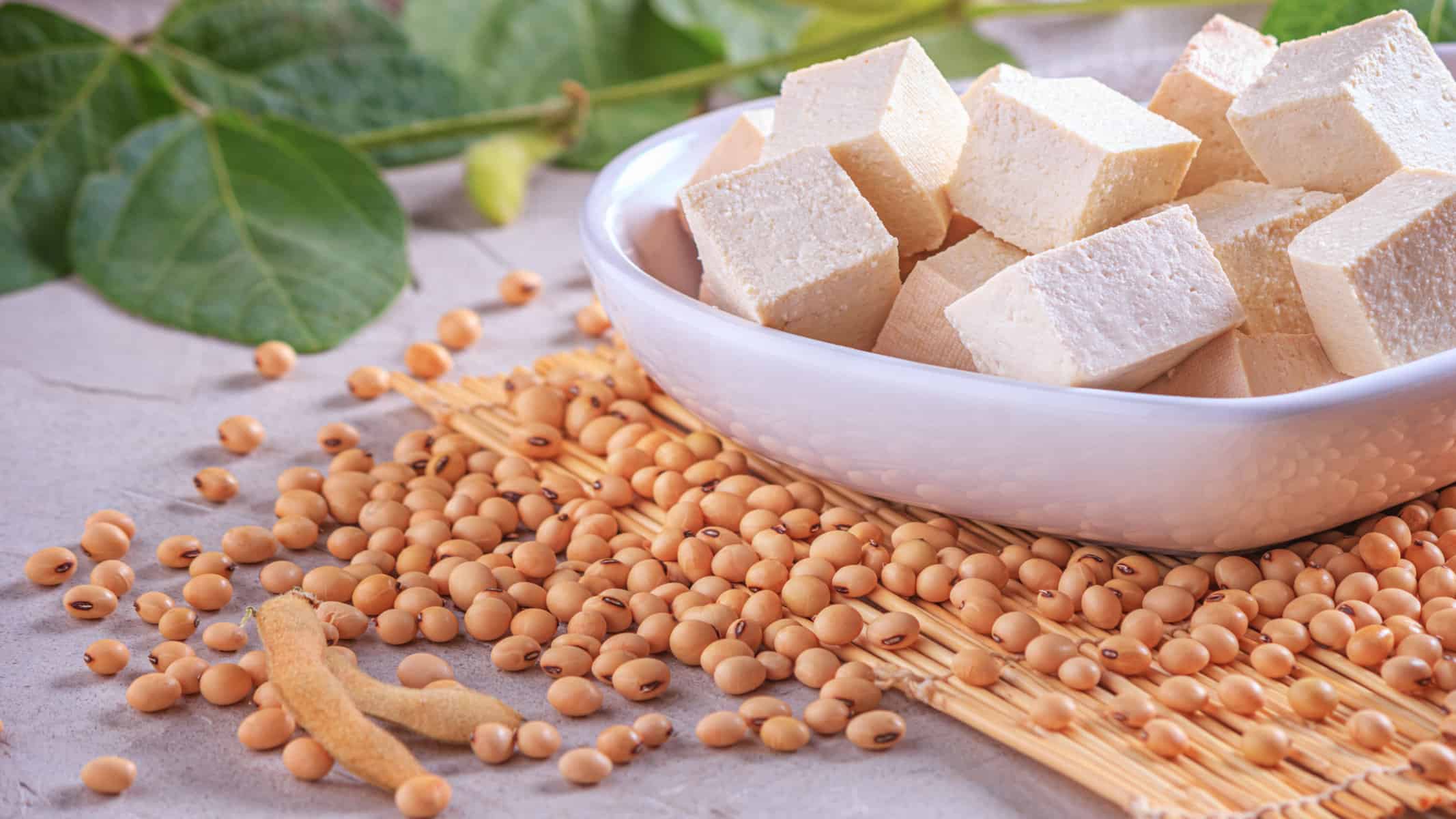 Pflanzliches sojaprotein tofu alternative bohnen9 scaled
