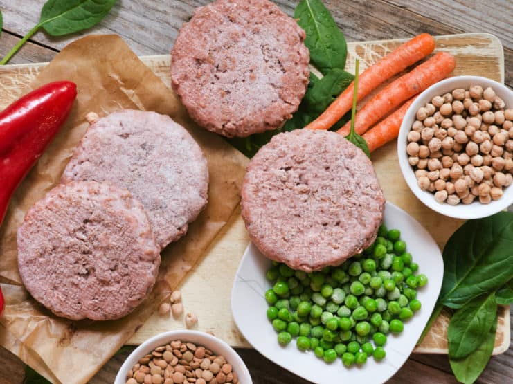 plant based meat pflanzliche fleischalternativen veganes protein1