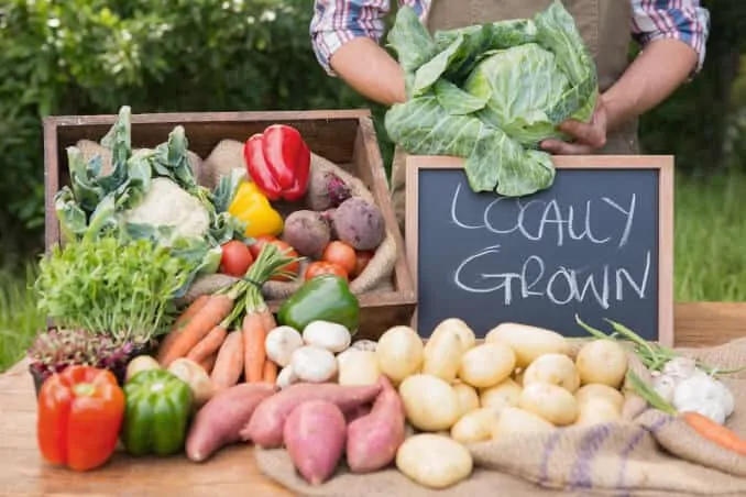 regional frisch obst gemüse bio anbau