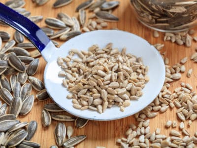 Sonnenblumen kerne pflanzliches protein huelsenfrucht