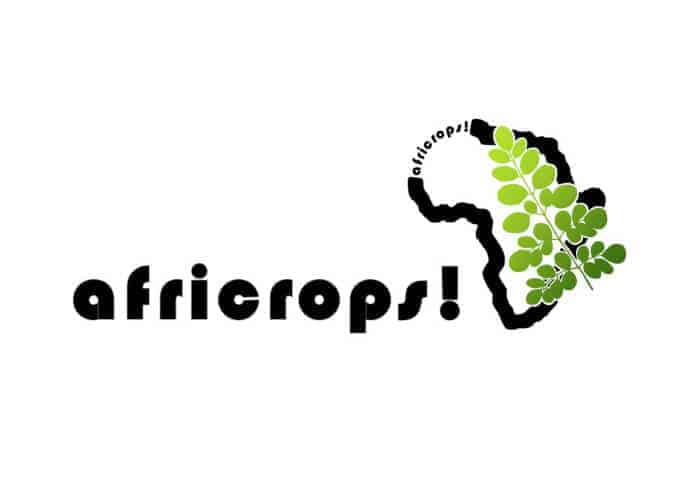 The essence of africa africrops moringa