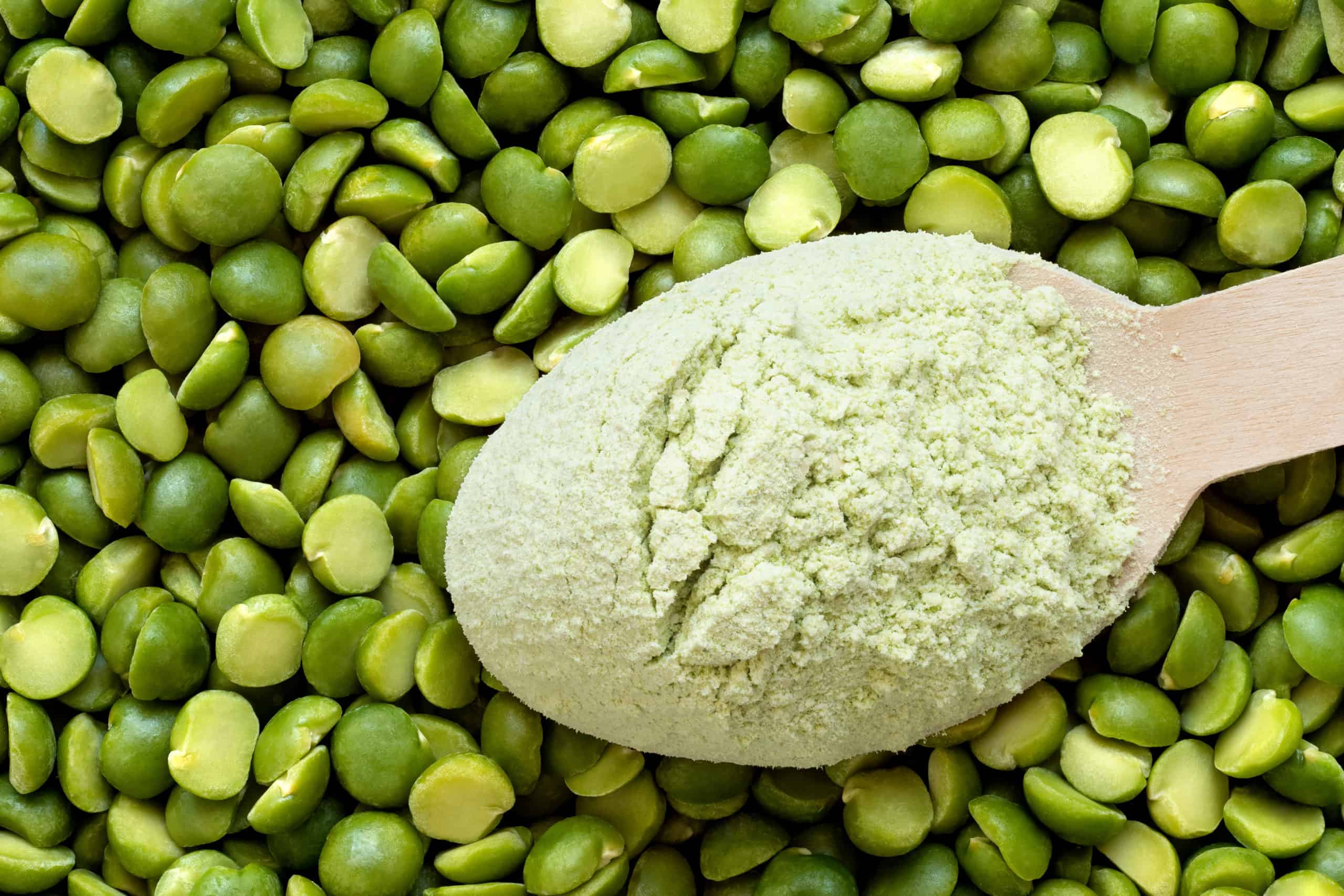 Veganes pflanzliches protein erbsenprotein pulver