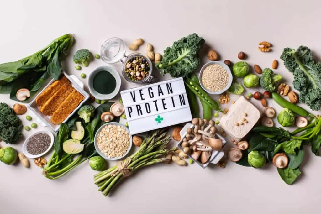 vegan protein grafik