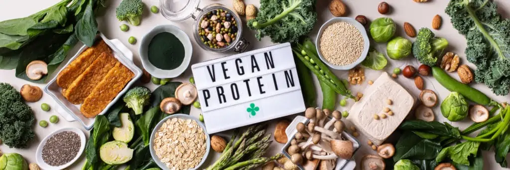 vegane proteinquellen