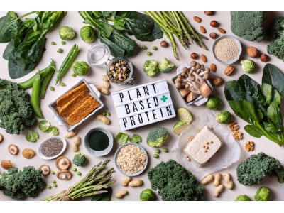 pflanzliches protein