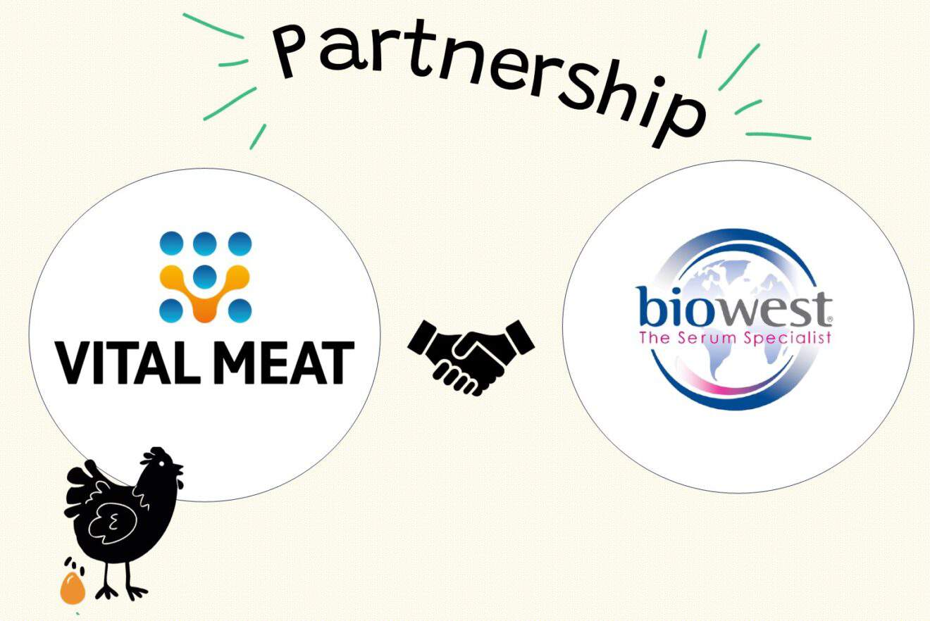Vital Meat und Biowest gehen strategische Partnerschaft im Bereicht ...